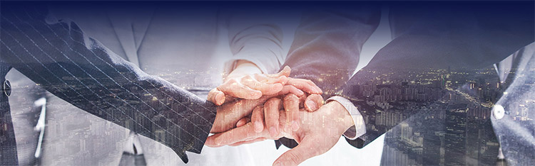 开云手机官方版在线入口